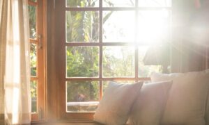 sun shining through old wood window needing Houston window repair