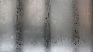 foggy glass in houston